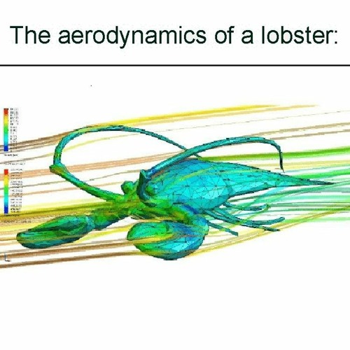 A super cool picture of lobster aerodyanmics